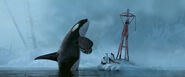 Orcas as Narwhals