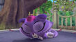 Hissy was sleeping in the trampoline in Pigs and Pugs