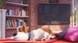 Max (The Secret Life Of Pets) is sleeping in the couch