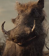 Pumbaa in The Lion King (2019)