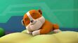 Rubble sleeping by lah2000 dd5lwyd