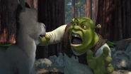 Shrek-disneyscreencaps.com-797.jpg (354 KB)
