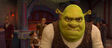 Shrek4-disneyscreencaps.com-1164