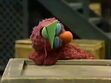 Telly sleeping and having a triangle dream