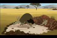 Aardvark (Wild Kratts)