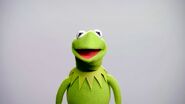 Kermit the frog muppet