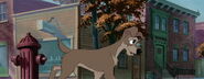 Lady-tramp-disneyscreencaps.com-1667