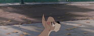 Lady-tramp-disneyscreencaps.com-1808