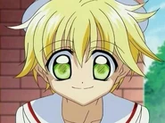 Hippo As Singing Soraya