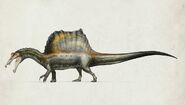 Spinosaurus quadruped by prophetickaiju-d8vl4um
