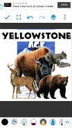 Yellowstone Age 1 (2002)