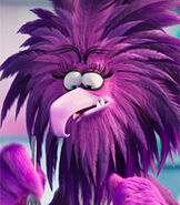 Zeta in The Angry Birds Movie 2
