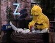 Big Bird, Elmo and Ruthie sleep in the nest together