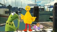 Big Bird, Kermit, DW and Tommy in Sydney