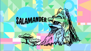 Salamander (Title Card)