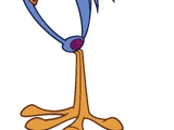 Road Runner
