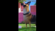 Vlcsnap-2025-01-15-09h17m26s484.png (561 KB)