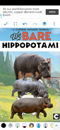 We Bare Hippopotami Poster