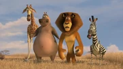 Alex, Marty, Melman, Gloria,