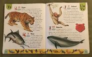 Endangered Animals Dictionary (23)