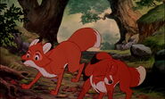 Fox-and-the-hound-disneyscreencaps.com-8227