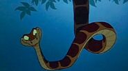 Kaa: say now, what do we have here?