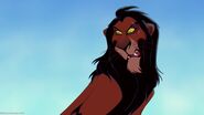 Scar is Angry
