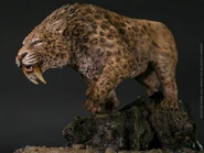 Smilodon fatalis.jpg (58 KB)