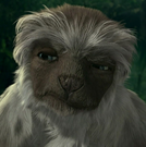 Yar as Krebbs