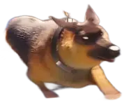 20250101 222920.webp (45 KB)