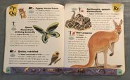 Extreme Animals Dictionary (19)