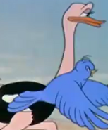 G-1941-04-18-ostrich-bird
