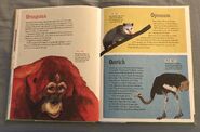 The Dictionary of Ordinary Extraordinary Animals (36)