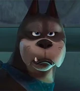 Ace in DC League of Super-Pets