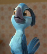 Bia in Rio 2