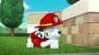 Paw patrol marshall sleeping
