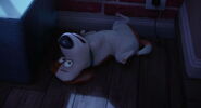 Secret-life-pets-disneyscreencaps.com-1444