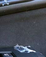 Eww.... Seagull Poop. - 2021