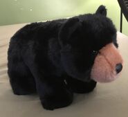 Almond the Black Bear