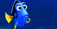 Dory the Fish