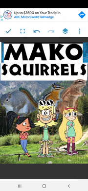 MKSQRRLS Poster.png