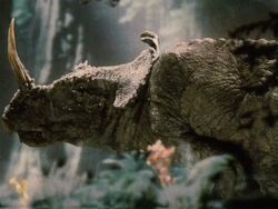 Monoclonius.jpg