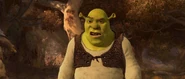 Shrek4-disneyscreencaps.com-4012.jpg (331 KB)