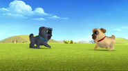 Bingo and Rolly (Puppy Dog Pals) laughing