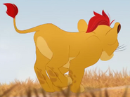 Kion running in the grass again 9