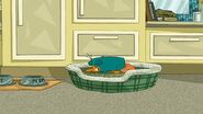 Perry falls asleep in Hide and Seek