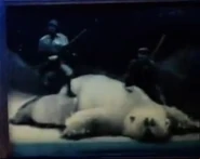 Smallfoot-Polar Bear.jpg (132 KB) Smallfoot (2018)