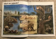 4C00EAB9-4F89-4259-A6A3-F689E1C7DB72.jpeg (2.14 MB)