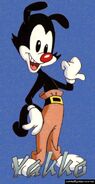 653342-yakko