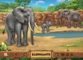 ABC Mouse Elephants.png (1.6 MB)